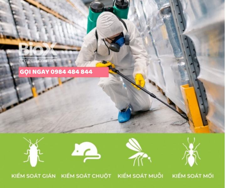 Biox insect control company (Biox Eco Pest Control)