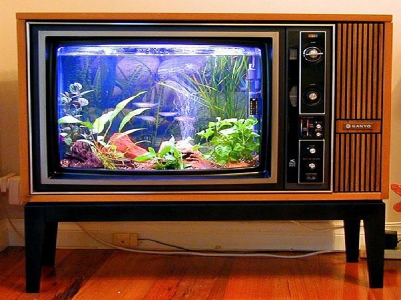 Very unique and strange TV fish tank