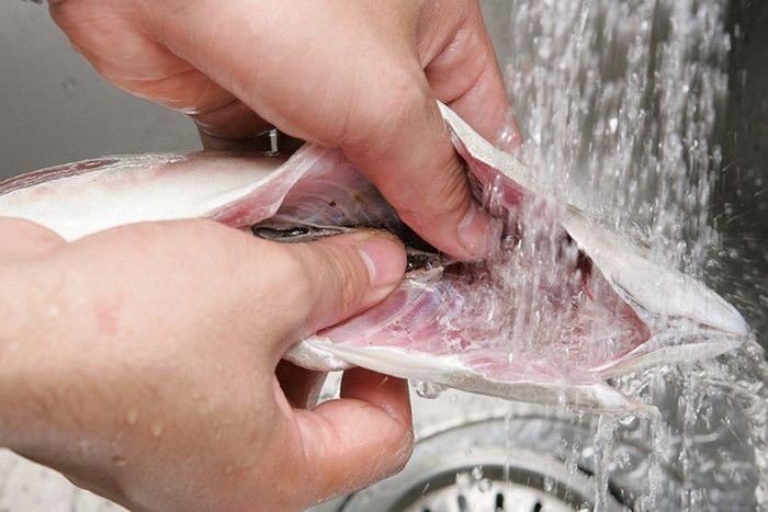 Tips for fish removal