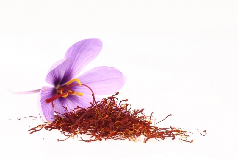 Saffron is the most expensive spice in the world