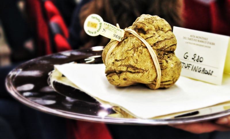 White Truffle - The most expensive cooking ingredient