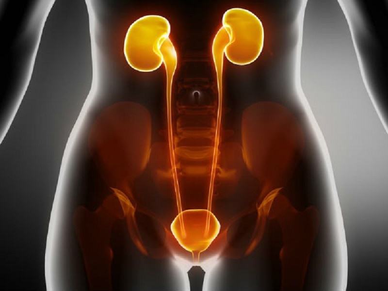 Reduce the risk of kidney stones