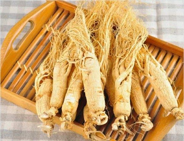 Ginseng is a precious medicine to enhance male vitality