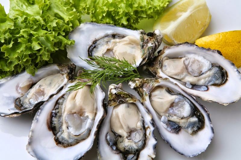 Oysters are a nutritious food that helps increase male sex hormones