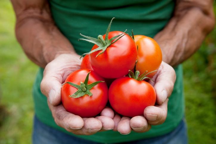 Tomatoes are foods rich in lycopene that help increase sperm count