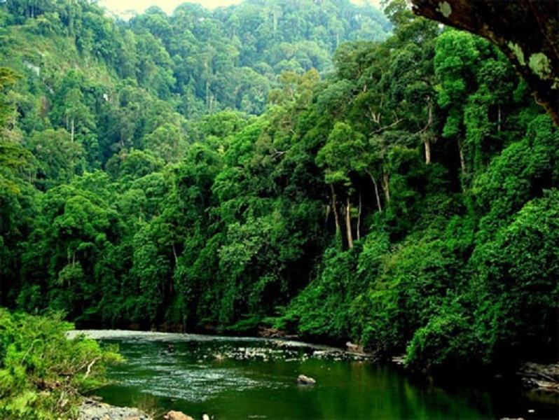 Brunei is a green, clean and beautiful country.