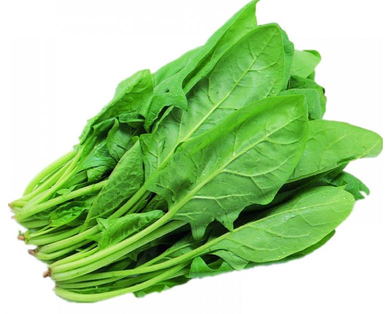 Spinach, also known as spinach, is very nutritious