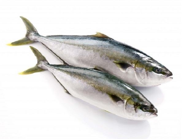 Eating sea fish helps prevent cancer