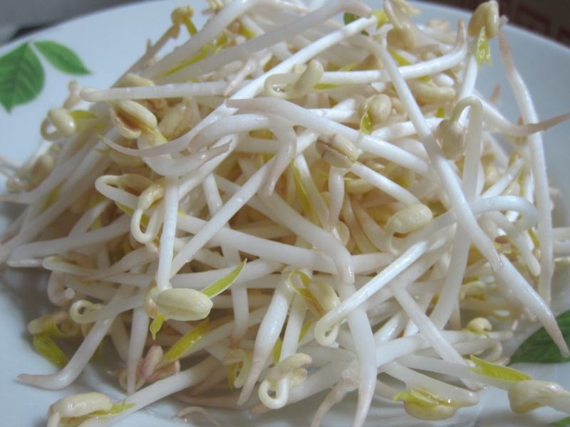 Do not eat bean sprouts uncooked