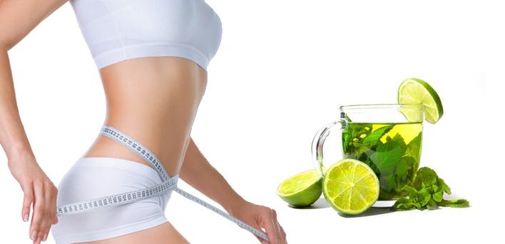 Green tea helps to lose weight and keep fit