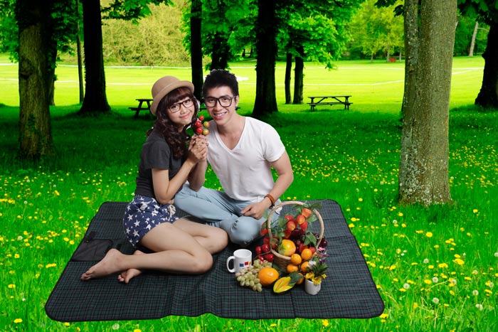 Does a picnic just the two of you make sense?