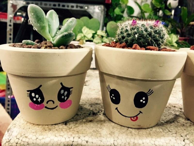 Cute potted plants