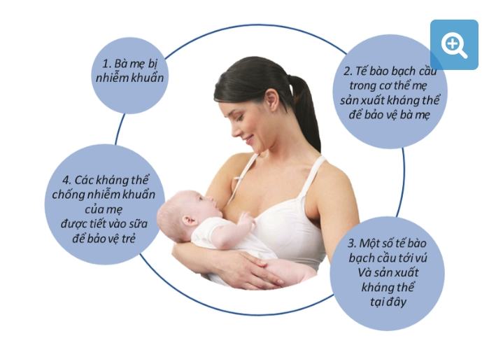 Breastfed babies are less likely to get infections
