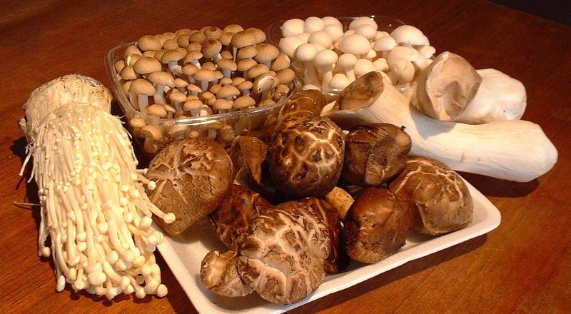 Mushrooms that can be used to make baby food