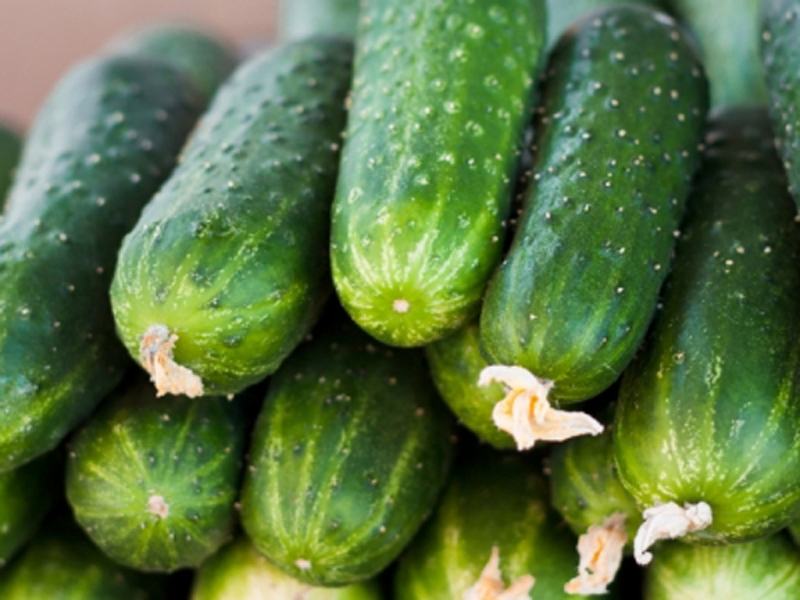 Cucumber effectively fights constipation