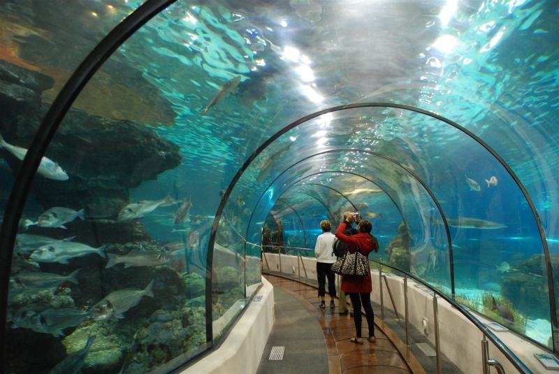 Vinpearl Aquarium Times City - the most modern aquarium built according to Singaporean architecture
