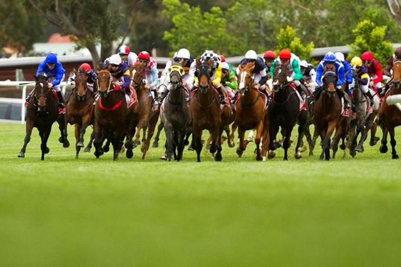 Thoroughbred Horse Racing Festival, City of Melbourne, Australia