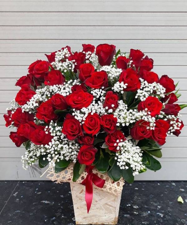 Give roses to your lover on Valentine's Day