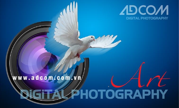 Digital Photography School Website