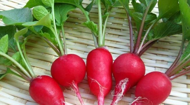 Red beetroot helps you control cholesterol levels in the body.