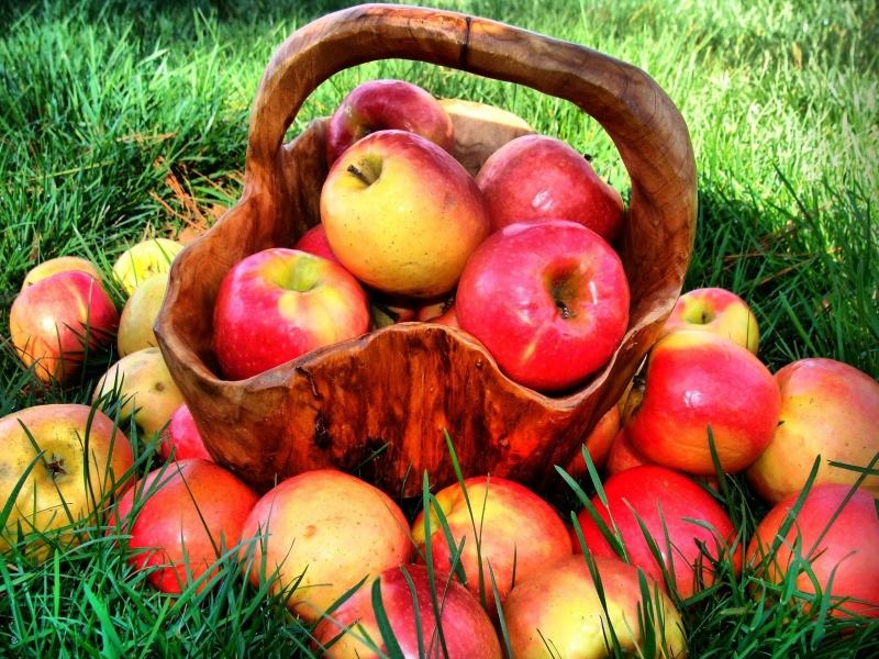 Apples are a panacea for health