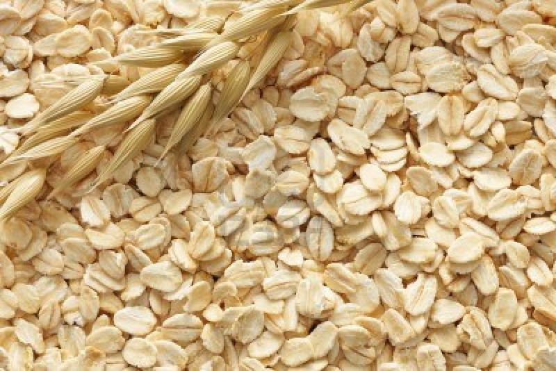Oats are a protein-rich food