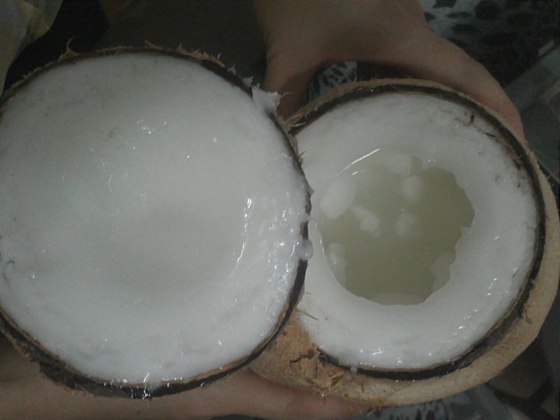 Ben Tre Wax Coconut
