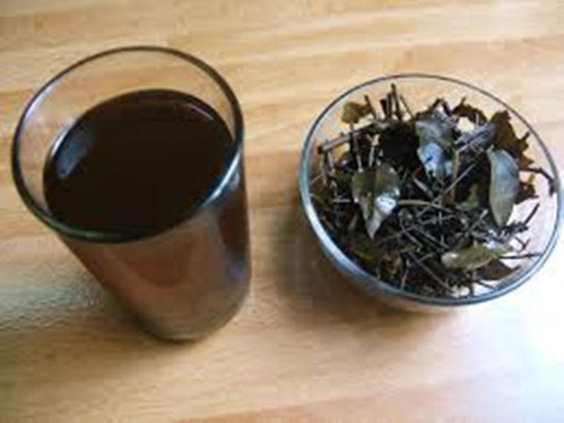 White tea has both anti-inflammatory and milk benefits