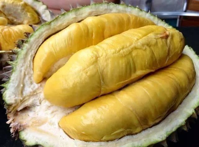 Durian Ri 6