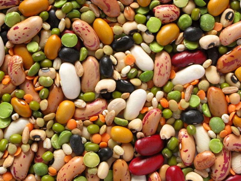 Beans contain a lot of protein and zinc, which support hair growth and repair.