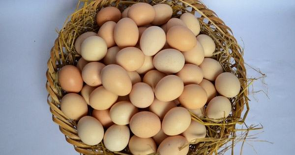 Eggs are also known to help hair grow faster.