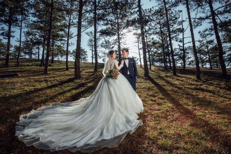 Wedding photos in the pine forest in Da Lat
