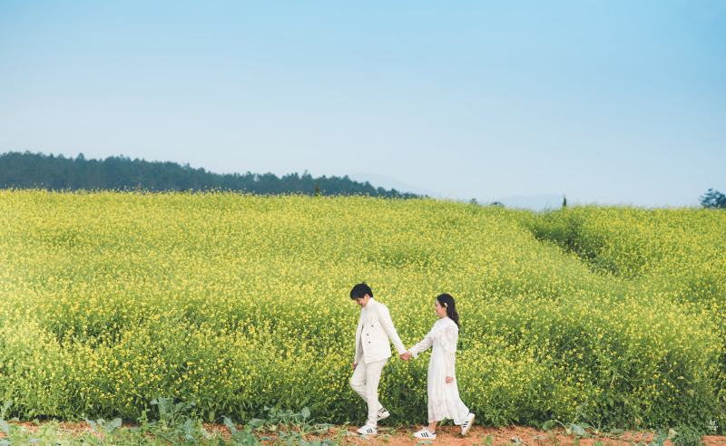 Photo of romantic lovers in the field of yellow canola flowers in Dalat
