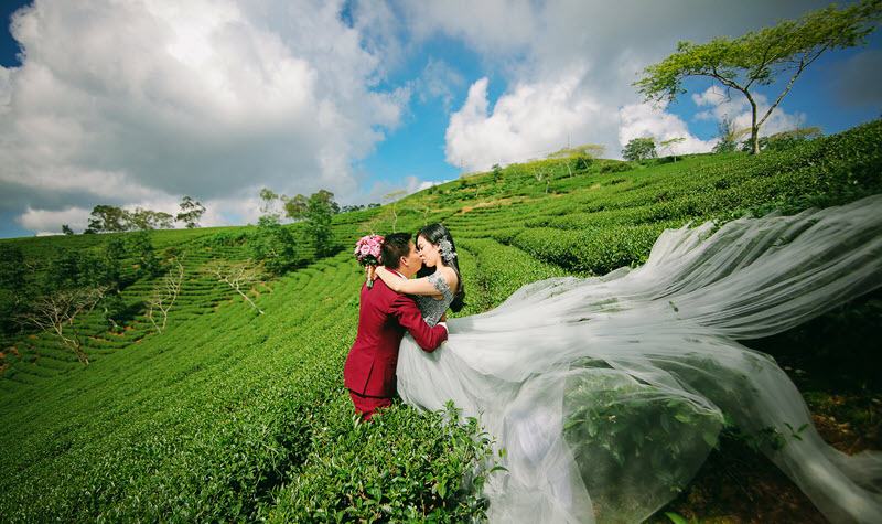 Wedding photos at Cau Dat tea hill in Dalat