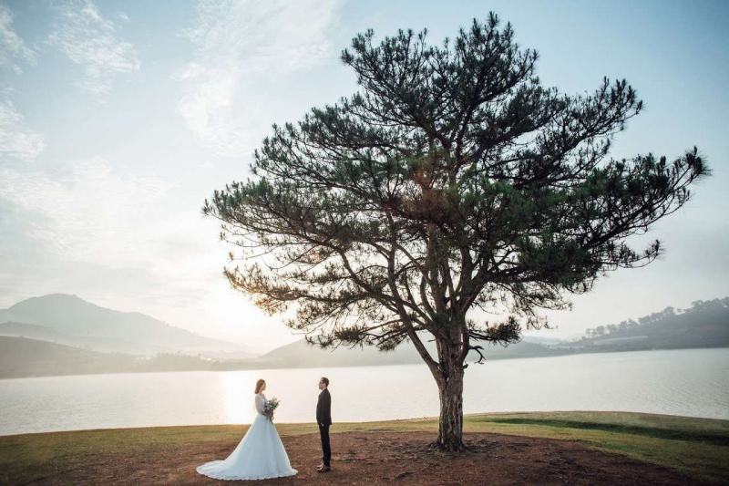 Wedding photo next to the Lonely Pine Tree in Da Lat