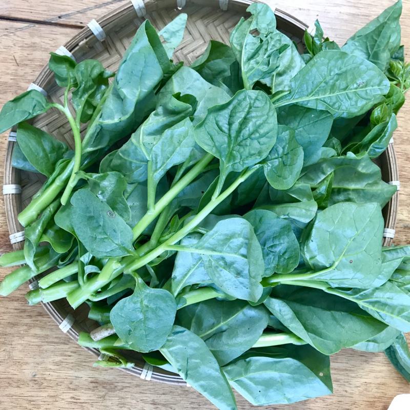Spinach is a laxative, has cooling properties, and cools down