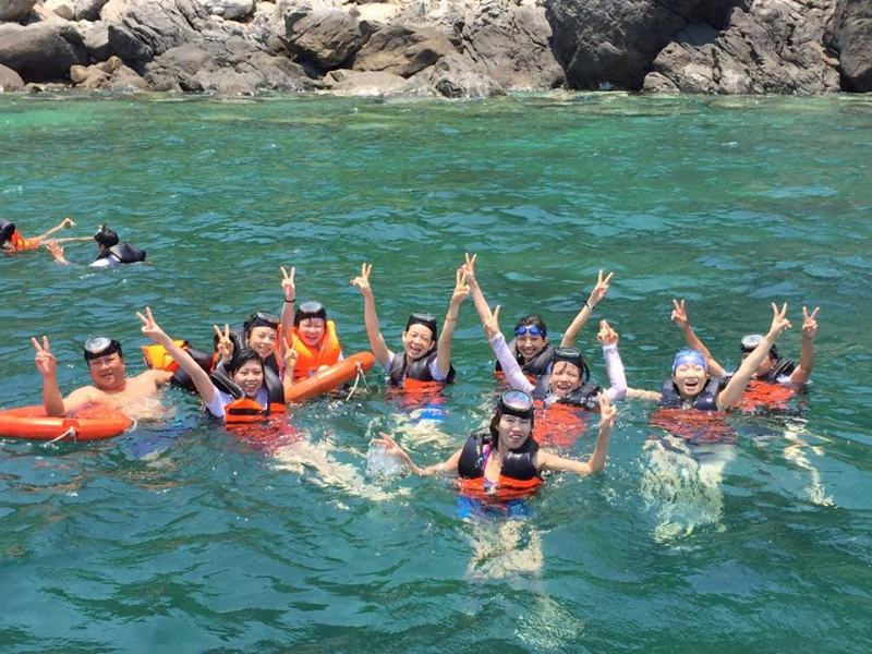 Snorkeling to see coral in Cu Lao Cham