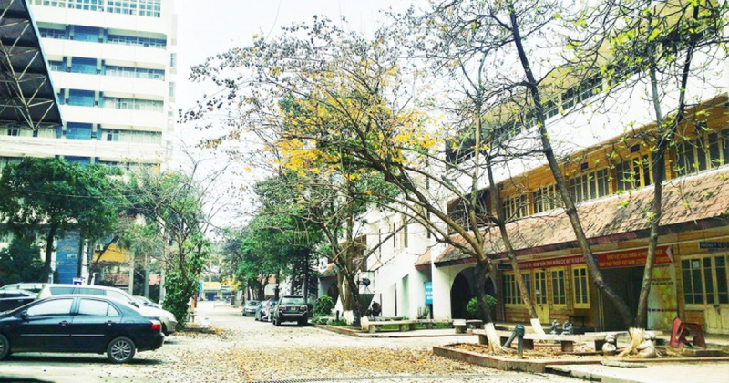 The Hanoi Architectural University