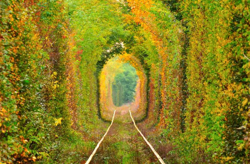 Tunnel of love "Tunnel of love" (Ukraine)