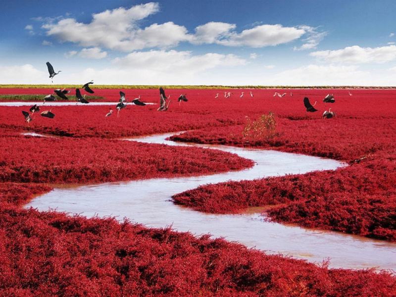 Red Sea (China)