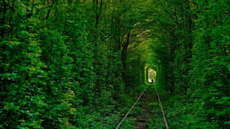 Tunnel of love "Tunnel of love" (Ukraine)
