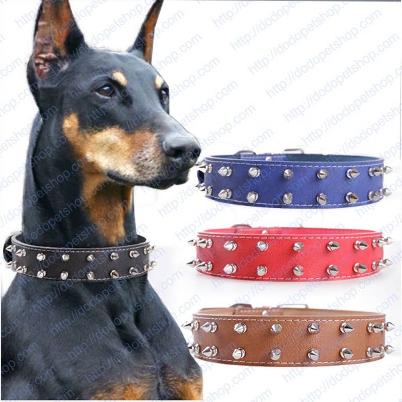 Personalized collars for dogs
