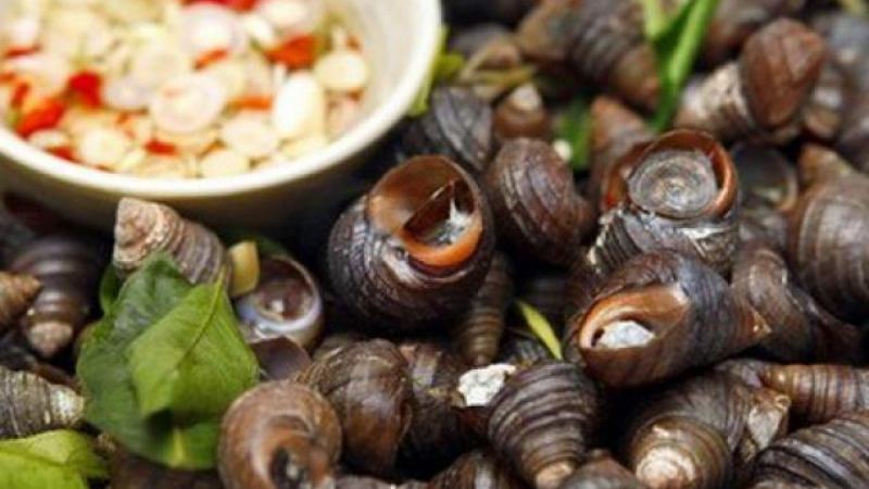 Boiled snails