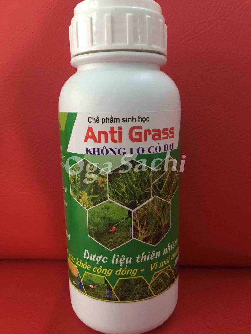 Anti-Grass Probiotics