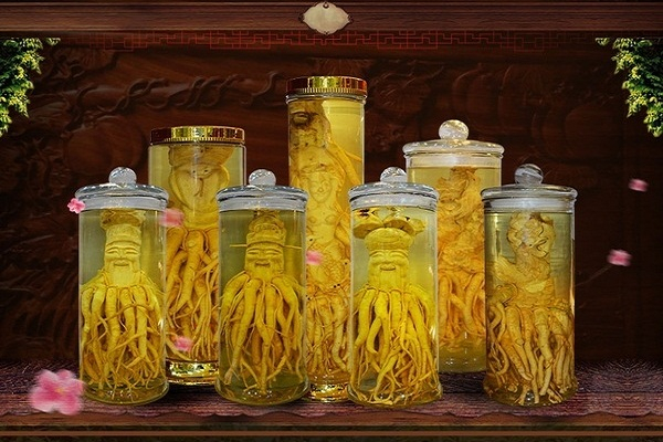 Ginseng is pre-soaked in a jar
