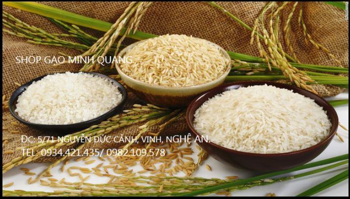Minh Quang rice agent