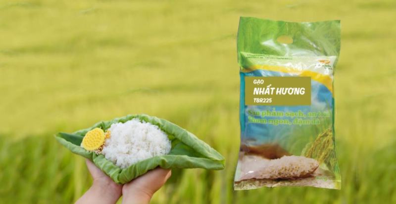 Minh Quang rice agent