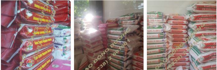 Indochina rice agent