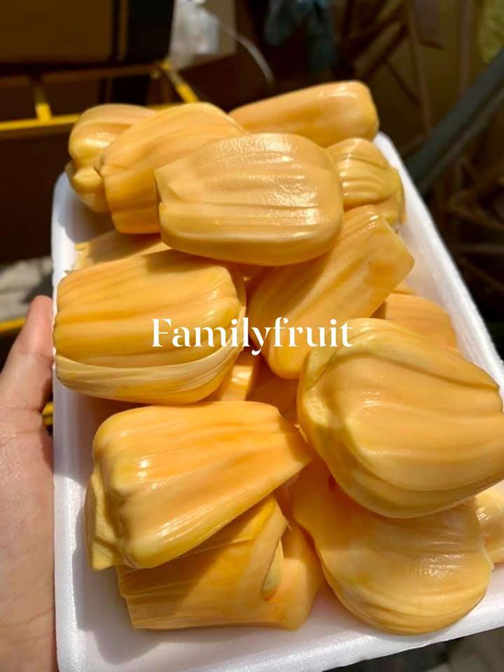 Family Fruits - Quy Nhon's clean fruits and foods