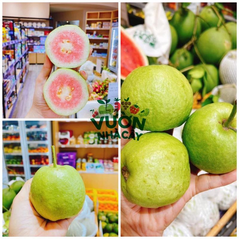 Quy Nhon imported fruit